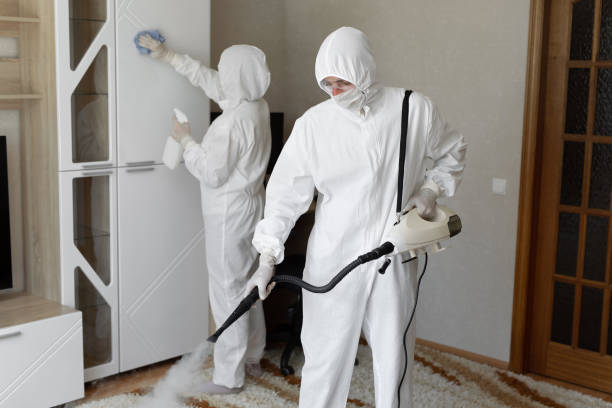 Best White Mold Remediation in Gahanna, OH